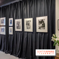 Exposition Irina Ionesco aux galeries Rachel Hardouin et La Lison - IMG 3682