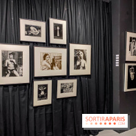 Exposition Irina Ionesco aux galeries Rachel Hardouin et La Lison - IMG 3683