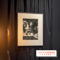 Exposition Irina Ionesco aux galeries Rachel Hardouin et La Lison