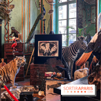 Johnny Depp dévoile une œuvre à découvrir gratuitement dans un cabinet de curiosités parisien