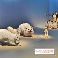 Déserts : l'exposition scientifique se dévoile au Muséum d'Histoire naturelle de Paris