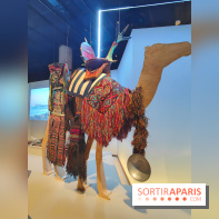 Déserts : l'exposition scientifique se dévoile au Muséum d'Histoire naturelle de Paris