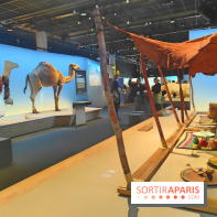 Déserts : l'exposition scientifique se dévoile au Muséum d'Histoire naturelle de Paris
