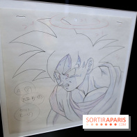 Rêves de Japon, nos photos de l'exposition à voir à Rueil-Malmaison - Rêves de Japon 19 fotor 20250401193842