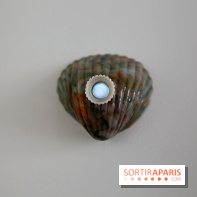 Osvaldo González et Zhanna Kadyrova à la Galleria Continua, nos photos - Galleria Continua 3 fotor 20250401192129