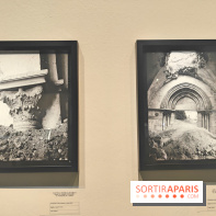 Trésors sauvés de Gaza : l'histoire de Gaza exposée à travers des vestiges archéologiques à l'IMA  - fotor 1743592118344