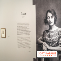 Exposition Matisse et Marguerite au Musée d'Art Moderne de Paris - photos  - A7C05291