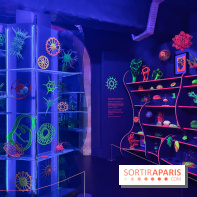 Digital Abysses au musée en Herbe - nos photos - 5E840A8C 6B0E 4F9C A75C 355062E1DA7E