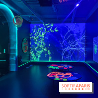 Digital Abysses au musée en Herbe - nos photos - 8F23999D 18C5 4CB3 8088 2779B3961DD3