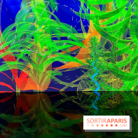 Digital Abysses au musée en Herbe - nos photos - E672E9E3 F1D6 4725 A908 D4A51E19C12E