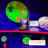 Digital Abysses au musée en Herbe - nos photos - DD554534 3B5F 4D3A A1DA 9202207380FC