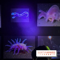 Digital Abysses au musée en Herbe - nos photos - 75DC5D6A 1C62 4583 B62A 02535EB14982