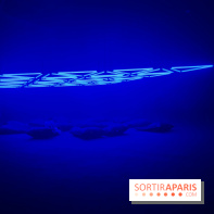 Into The Light, une exposition lumineuse à la Grande Halle de la Villette - IMG 8520