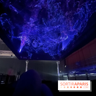 Into The Light, une exposition lumineuse à la Grande Halle de la Villette - IMG 8504