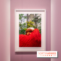 Exposition Le Paris d'Agnès Varda au Musée Carnavalet