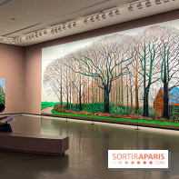 David Hockney : la plus grande exposition retrospective de l'artiste à la Fondation Louis Vuitton - IMG 8557 jpg