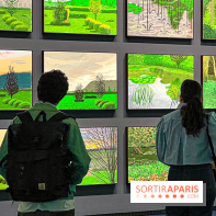 David Hockney : la plus grande exposition retrospective de l'artiste à la Fondation Louis Vuitton - IMG 8627 jpg