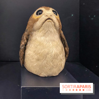 Disney100 : l'exposition des 100 ans de Disney à Paris Expo Porte de Versailles - IMG 4319