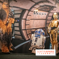 Disney100 : l'exposition des 100 ans de Disney à Paris Expo Porte de Versailles - DSC 2918