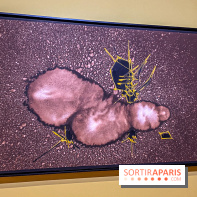 Exposition Georges Mathieu à la Monnaie de Paris - IMG 4530