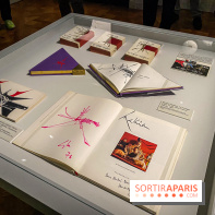 Exposition Georges Mathieu à la Monnaie de Paris - IMG 4566