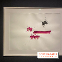 Exposition Georges Mathieu à la Monnaie de Paris - IMG 4585