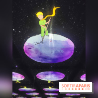 Le Petit Prince, l'odyssée immersive : un voyage poétique et coloré à vivre à l'Atelier des Lumières - fotor 1744363981975