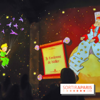 Le Petit Prince, l'odyssée immersive : un voyage poétique et coloré à vivre à l'Atelier des Lumières - fotor 1744364141994