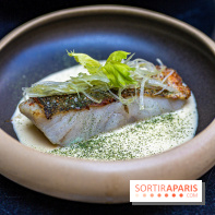 Pimpan, nouveau restaurant à Paris dans le Quartier Latin – Cuisine française moderne à Dame des Arts