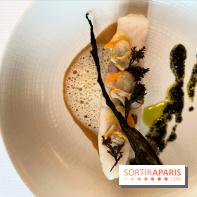 Le Pergolèse - Lieu jaune, coquillages