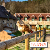 La Ferme de l’Abbaye des Vaux de Cernay : l'hôtel de charme en pleine nature dans les Yvelines - photos