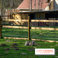 La Ferme de l’Abbaye des Vaux de Cernay : l'hôtel de charme en pleine nature dans les Yvelines - photos