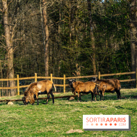 La Ferme de l’Abbaye des Vaux de Cernay : l'hôtel de charme en pleine nature dans les Yvelines - photos