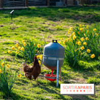 La Ferme de l’Abbaye des Vaux de Cernay : l'hôtel de charme en pleine nature dans les Yvelines - photos