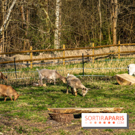 La Ferme de l’Abbaye des Vaux de Cernay : l'hôtel de charme en pleine nature dans les Yvelines - photos