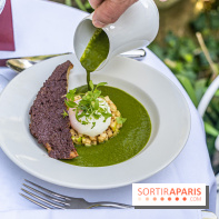 Terrasse de l'Hôtel Particulier, le jardin verdoyant au cœur de Montmartre - photo - A7C06420
