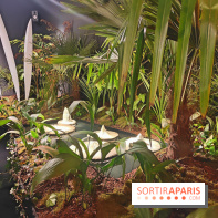 Mille et une vies : l'exposition gratuite et contemporaine se dévoile à l'Espace Monte-Cristo - fotor 1744999288794