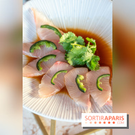 Kinugawa Rive Gauche à Paris, le restaurant en rooftop de l'Hôtel Sax - photos