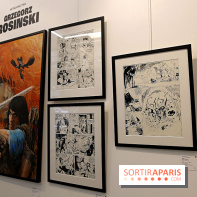 Rétrospective Grzegorz Rosinski, nos photos de l'expo gratuite à Paris - Expo Thorgal 17 fotor 20250425115651