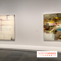 Dans le Flou, l'exposition dans le brouillard au Musée de l'Orangerie - IMG 5300