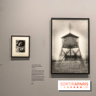 Dans le Flou, l'exposition dans le brouillard au Musée de l'Orangerie - IMG 5302