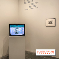 Dans le Flou, l'exposition dans le brouillard au Musée de l'Orangerie - IMG 5306