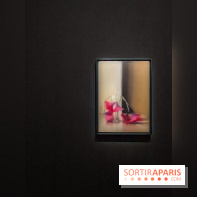 Dans le Flou, l'exposition dans le brouillard au Musée de l'Orangerie - IMG 5310