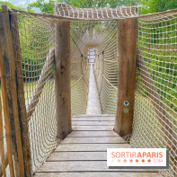 Mission Forêt - IMG 2142