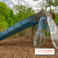 Mission Forêt