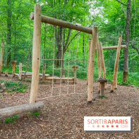 Mission Forêt - IMG 2149