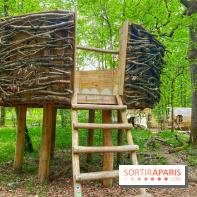 Mission Forêt