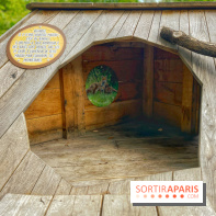 Mission Forêt - IMG 2156