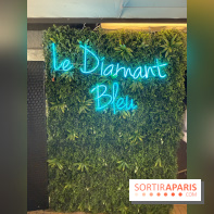 Brunch croisière à volonté sur la Seine – Le Diamant Bleu Paris