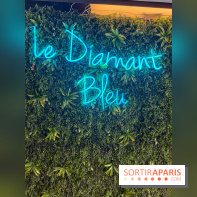 Brunch croisière à volonté sur la Seine – Le Diamant Bleu Paris